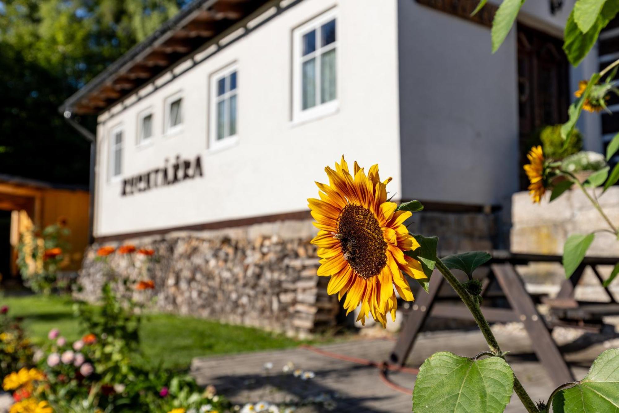Chata Rychtarka Janov nad Nisou Luaran gambar